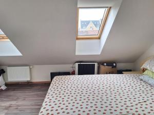 Prodej rodinného domu, Teplice - Trnovany, Thámova, 330 m2