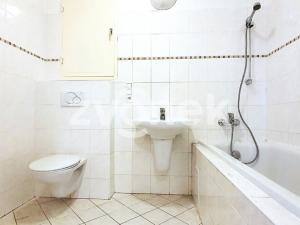 Pronájem bytu 1+kk, Zlín, Březnická, 42 m2