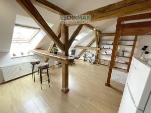 Pronájem bytu 1+kk, Plzeň - Jižní Předměstí, Doudlevecká, 33 m2