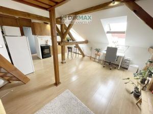 Pronájem bytu 1+kk, Plzeň - Jižní Předměstí, Doudlevecká, 33 m2
