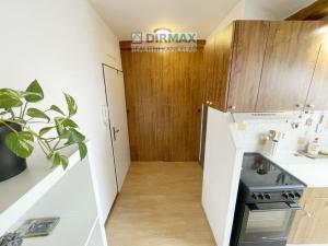 Pronájem bytu 1+kk, Plzeň - Jižní Předměstí, Doudlevecká, 33 m2