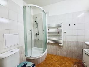Pronájem bytu 2+kk, Brno, Francouzská, 41 m2