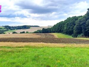 Prodej pole, Líšná, 103172 m2