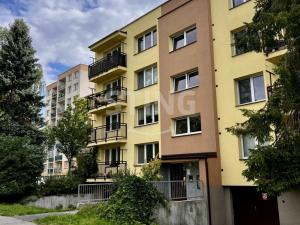 Pronájem bytu 1+1, Ostrava - Výškovice, 39 m2