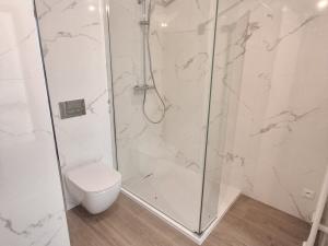 Pronájem bytu 2+kk, Teplice, Novoveská, 49 m2