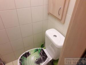 Prodej bytu 3+kk, Bruntál, Horní, 60 m2