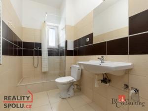 Prodej bytu 2+kk, Ostrava - Vítkovice, Erbenova, 52 m2