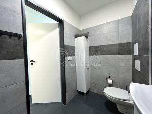 Pronájem bytu 1+1, Město Albrechtice - Hynčice, 32 m2