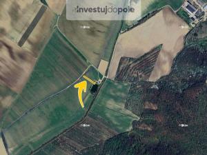 Prodej pozemku, Nechvalín, 1248 m2