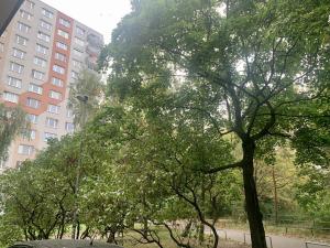 Pronájem bytu 1+kk, Praha - Michle, Bítovská, 26 m2