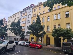 Pronájem bytu 1+1, Praha - Vinohrady, Řipská, 42 m2
