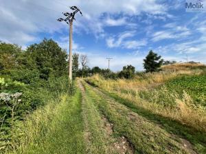 Prodej zahrady, Líšťany, 707 m2