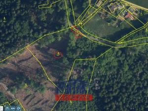 Prodej lesa, Železný Brod - Bzí, 6802 m2