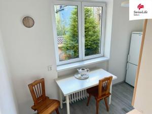 Pronájem bytu 1+1, Plzeň, Rychtaříkova, 36 m2