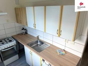 Pronájem bytu 1+1, Plzeň, Rychtaříkova, 36 m2