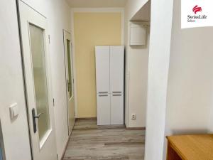 Pronájem bytu 1+1, Plzeň, Rychtaříkova, 36 m2