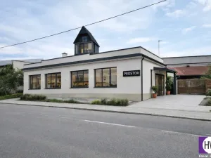 Prodej obchodního prostoru, Jílové u Prahy - Radlík, 159 m2