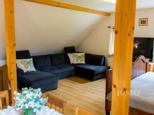 Prodej rodinného domu, Písek, Obecní, 518 m2