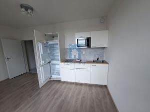 Pronájem bytu 1+kk, Plzeň, Technická, 29 m2