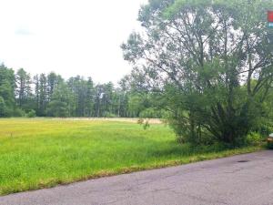 Prodej louky, Česká Lípa - Manušice, 8523 m2