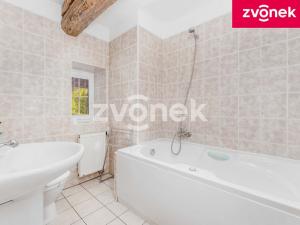 Prodej komerčního pozemku, Fryšták - Dolní Ves, Dolnoveská, 4200 m2
