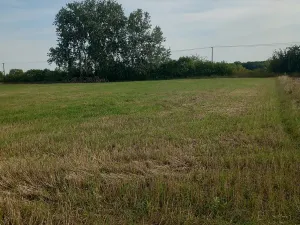 Prodej pole, Kostelec nad Labem, 5022 m2