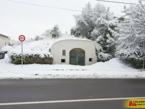 Prodej - jiné, Hrušovany nad Jevišovkou, 36 m2