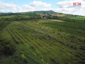 Prodej pole, Liběšice - Dolní Nezly, 25918 m2