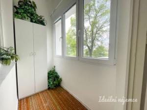 Pronájem bytu 1+1, Brno, Zvěřinova, 43 m2