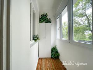 Pronájem bytu 1+1, Brno, Zvěřinova, 43 m2