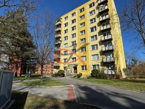 Pronájem bytu 3+1, Hranice, Struhlovsko, 71 m2