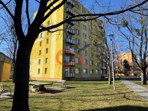 Pronájem bytu 3+1, Hranice, Struhlovsko, 71 m2