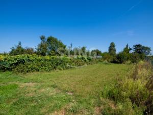 Prodej rodinného domu, Krnov, Okružní, 150 m2