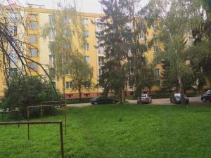 Pronájem bytu 1+1, Olomouc - Nová Ulice, Foerstrova, 35 m2