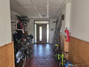 Prodej vícegeneračního domu, Radvanice, 170 m2