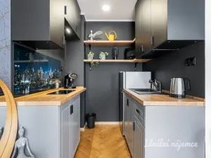 Pronájem bytu 2+kk, Praha - Nové Město, Truhlářská, 33 m2