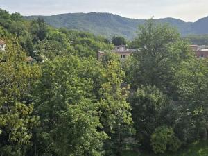 Prodej bytu 2+1, Ústí nad Labem - Neštěmice, Sibiřská, 56 m2
