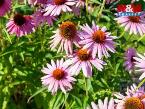 Prodej rodinného domu, Ostrava - Slezská Ostrava, Na Vizině, 120 m2