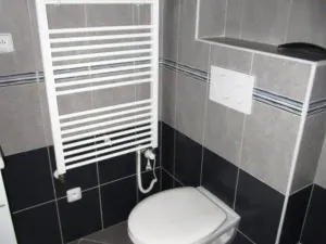 Pronájem bytu 1+1, Těrlicko - Horní Těrlicko, Topolová, 36 m2