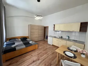 Pronájem bytu 1+kk, Praha - Žižkov, Cimburkova, 31 m2