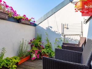 Prodej bytu 3+kk, Opava, Mostní, 62 m2