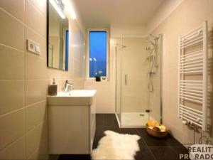 Pronájem bytu 1+kk, Olomouc, Wittgensteinova, 41 m2