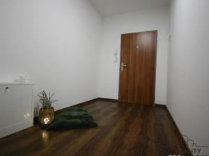 Pronájem bytu 1+kk, Olomouc, Wittgensteinova, 41 m2