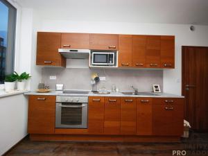 Pronájem bytu 1+kk, Olomouc, Wittgensteinova, 41 m2