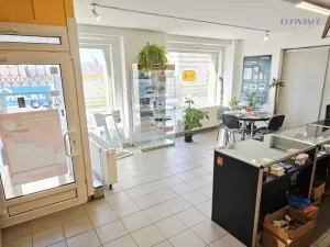 Prodej obchodního prostoru, Kralupy nad Vltavou, Přemyslova, 133 m2