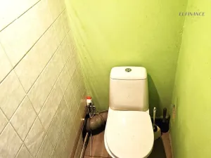 Prodej obchodního prostoru, Kralupy nad Vltavou, Přemyslova, 133 m2