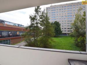 Pronájem bytu 1+kk, Praha - Nusle, Kotorská, 35 m2