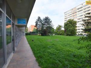 Pronájem bytu 1+kk, Praha - Nusle, Kotorská, 35 m2