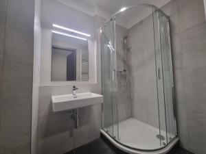 Pronájem bytu 1+kk, Pardubice - Zelené Předměstí, Pod Vinicí, 42 m2