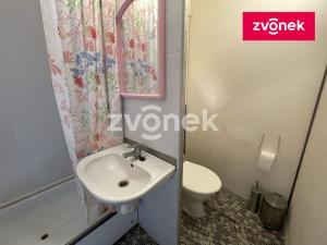 Pronájem bytu 1+kk, Zlín, Česká, 34 m2
